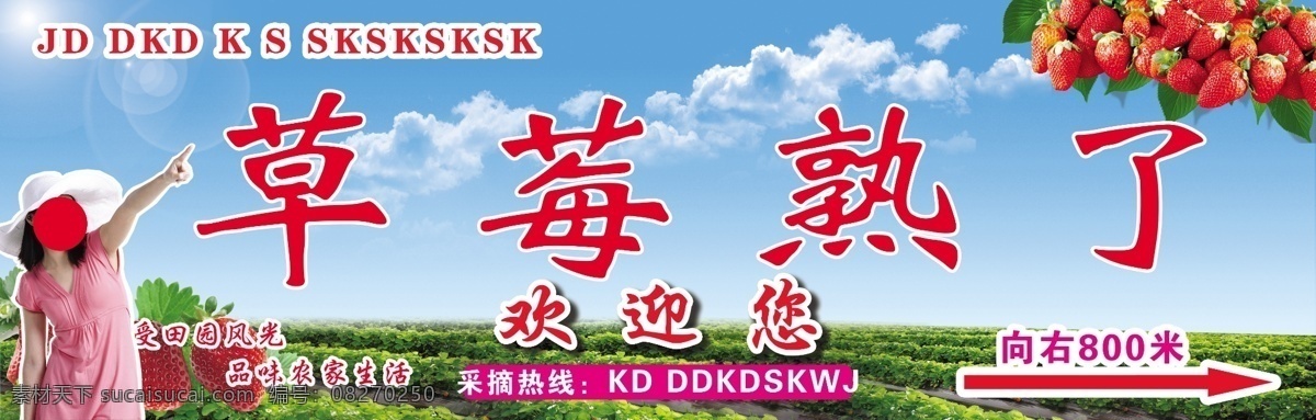 草莓熟了 草莓采摘海报 草莓采摘宣传 草莓采摘活动 草莓采摘模板 草莓采摘策划 草莓园 农家乐 农家乐海报 奶油草莓 草莓 草莓采摘节 草莓采摘季 长春草莓采摘 武汉草莓采摘 北京草莓采摘 广告 分层