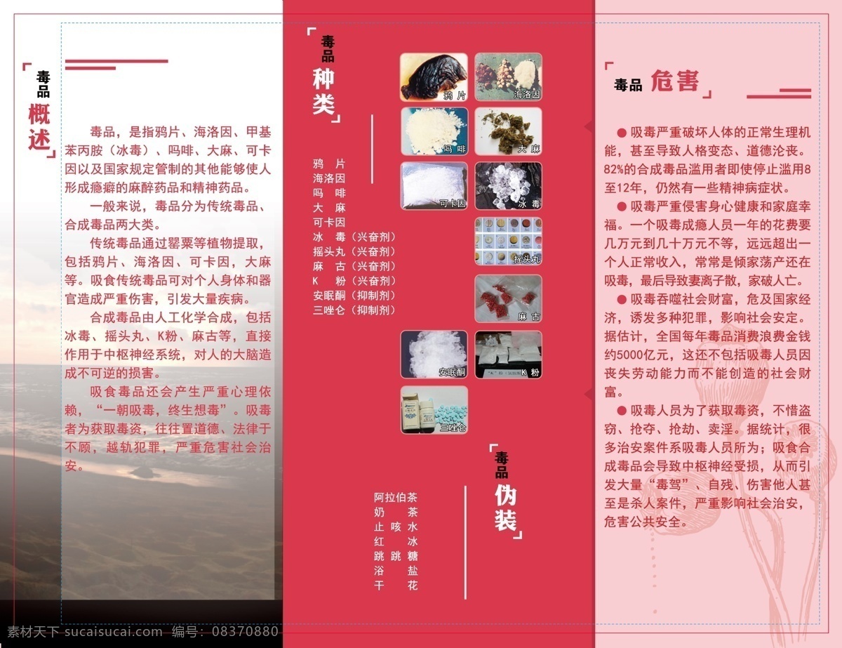 三折页2 三折页 禁毒 粉红 红色