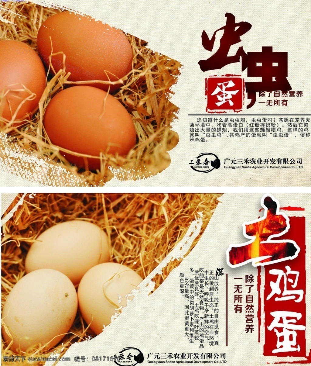 土鸡蛋设计图__海报设计_广告设计_设计图库_昵图网nipic.com