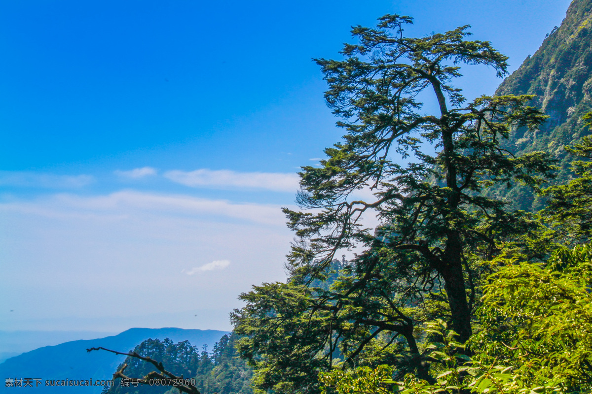 峨眉山 峨眉山景色 山峰 蓝天 绿树 远眺 风景名胜 自然景观