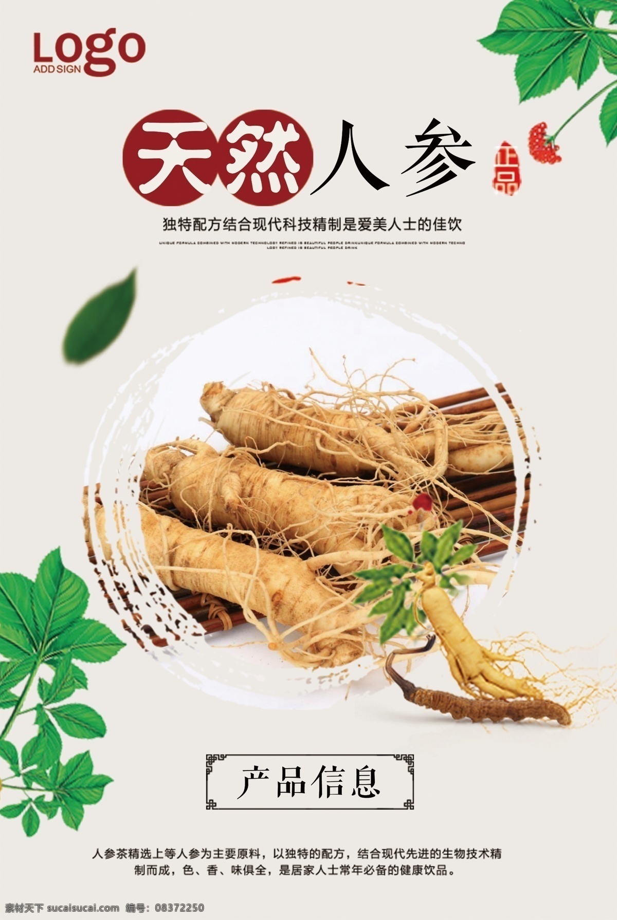 人参海报 人参图片 西洋参 人参广告 千年人参 人参枸杞 中药人参 补品人参 野人参 长白山人参 人参鸡汤 人参花 高丽野人参 人参展板 人参挂画 人参挂图 人参设计彩图 人参功效图 人参海报设计 长白山参 东北人参 东北野山人参 东北野山参 养生