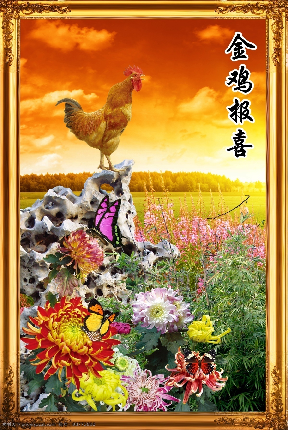 金鸡报喜 菊花 黎明 早晨 草地 公鸡 鸡 家禽 石头 蝴蝶 设计模板 广告设计模板 源文件