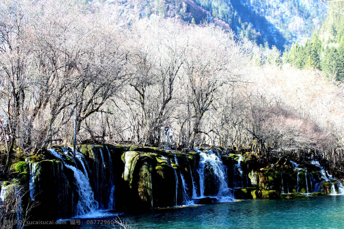 丛林 瀑布 九寨沟 阳光 水 神奇九寨沟 山水风景 自然景观