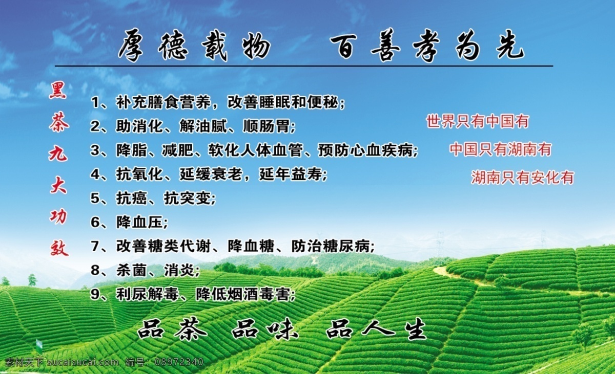 茶叶名片反面 助消 化解 油腻 顺肠 名片 分层