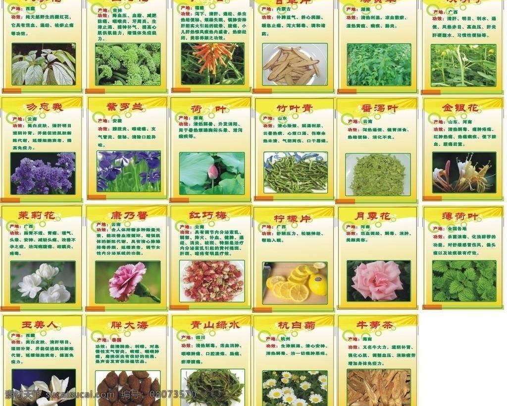 薄荷叶 荷叶 花茶 金银花 康乃馨 芦荟 茉莉花 柠檬片 春满 轩 矢量 模板下载 春满轩花茶 人参花 田七花 甘草片 溪黄草 决明子 勿忘我 紫罗兰 竹叶青 番泻叶 红巧梅 月季花 玉美人 胖大海 青山绿水 杭白菊 牛蒡茶 展板 展板模板 其他展板设计