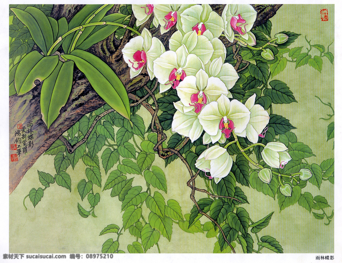 金鸿钧 工笔 花鸟 鸟雀 古典 国画 名家工笔 绘画书法 文化艺术