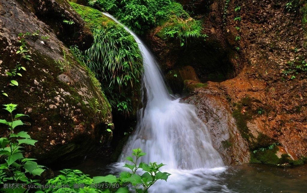 青城山小溪 四川 都江堰 青城山 四川旅游 都江堰旅游 岷江 青城山风光 自然景观 自然风景