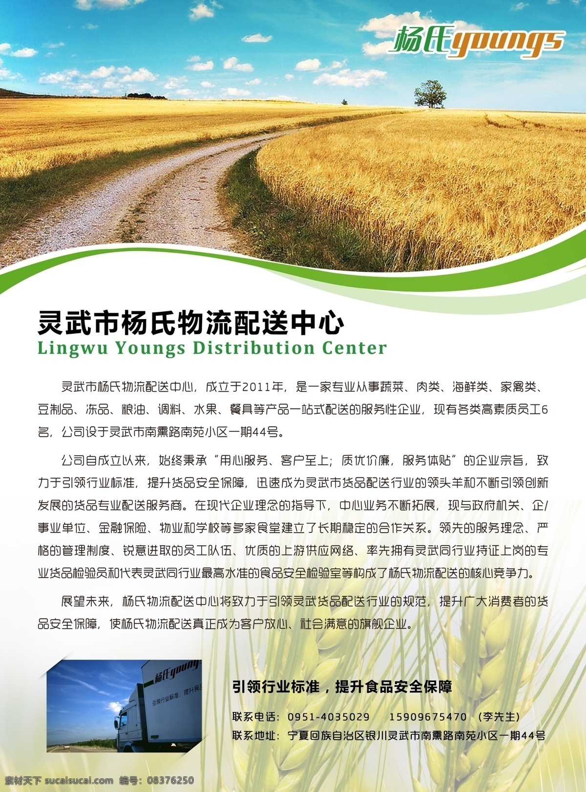 传单 瓜果 广告设计模板 宁夏 农副产品 蔬菜 物流 物流公司传单 灵武 农副物流 农副 源文件 其他海报设计