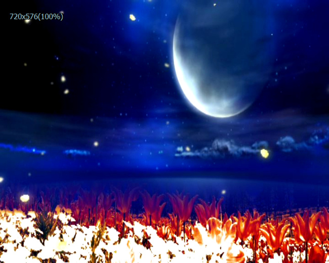 红色 花草 夜景 视频 动态视频特效 视频特效 背景 动态 特效