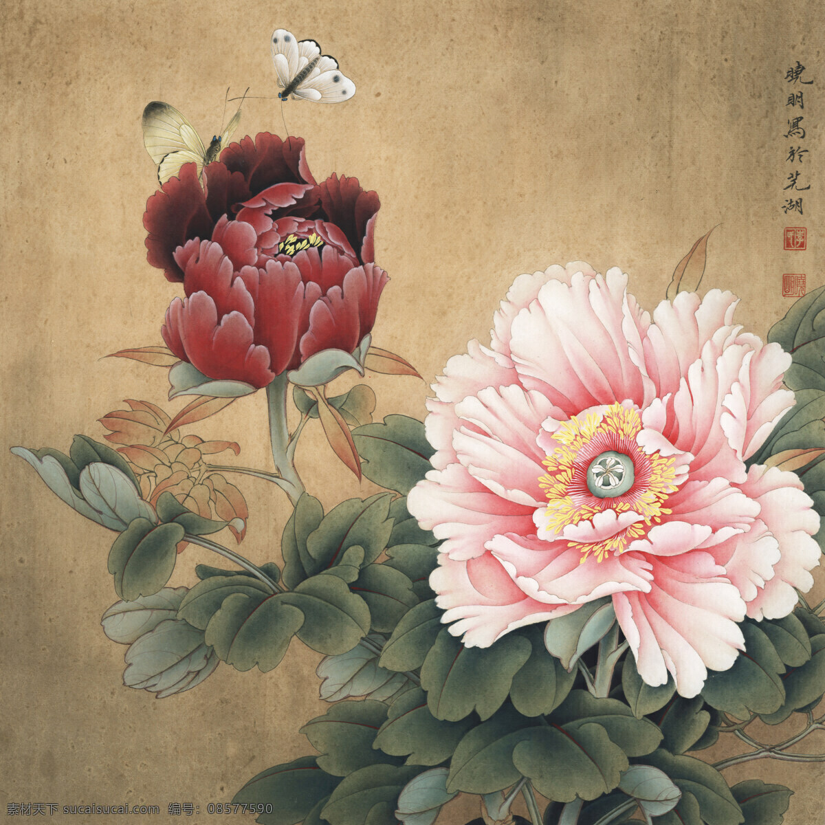 工笔牡丹 赵粉 牡丹花 国画牡丹 水墨牡丹 牡丹挂画 牡丹墙纸 古画 国画 文化艺术 绘画书法