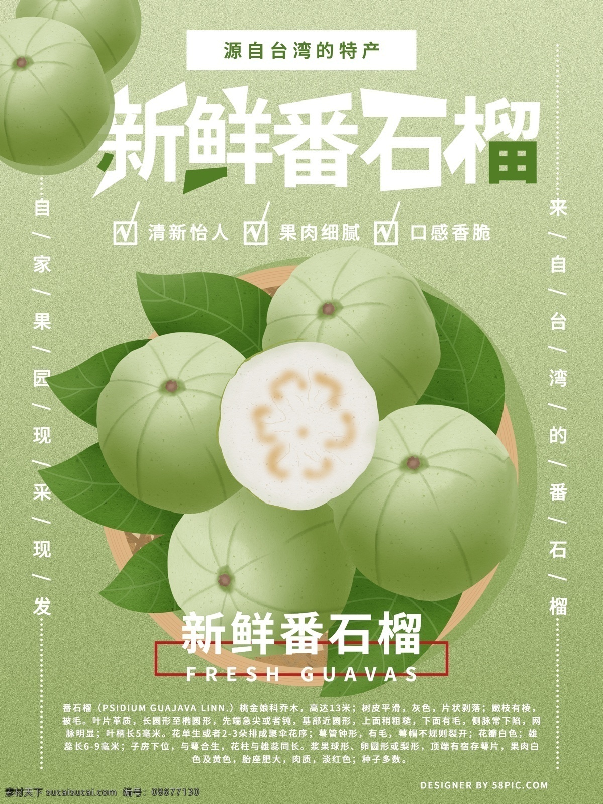 原创 手绘 小 清新 新鲜 番石榴 海报 原创手绘 小清新 新鲜番石榴 手绘水果 手绘番石榴