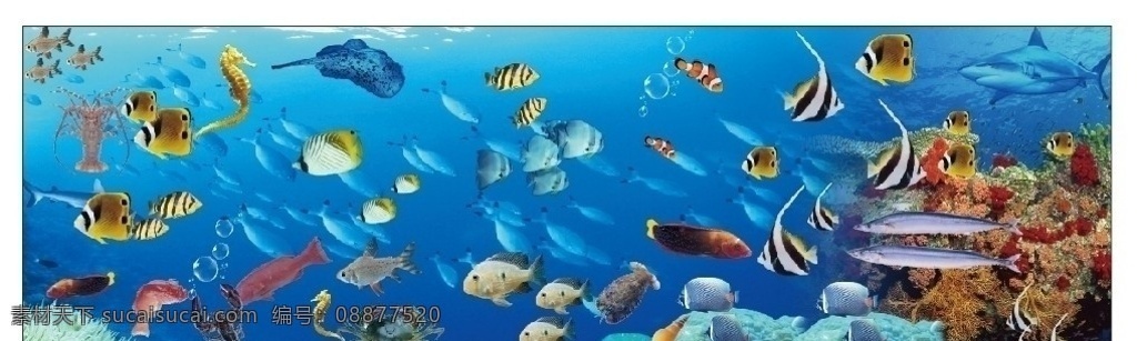 海洋世界 海洋 海底 海底世界 海洋生物 海底生物 自然景观 世界 矢量图 海鲜 海鲜池贴纸 海洋素材 源文件 生物世界 矢量