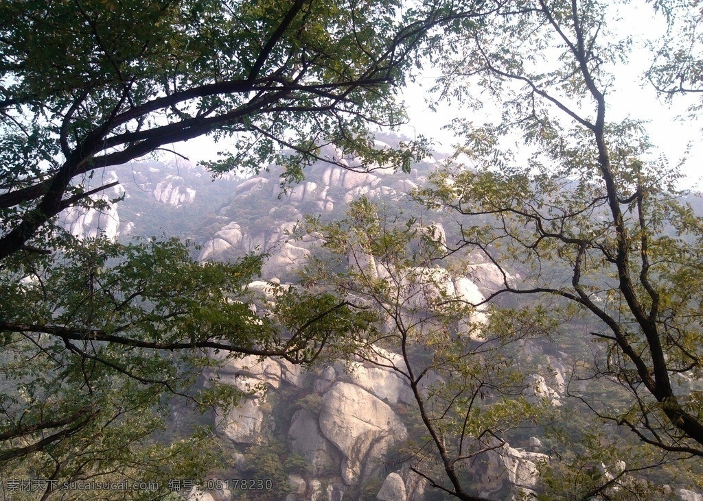 崂山 云雾 雾气 雾水 山水 山影 树影 原始森林 森林 茂密 清山 风景名胜 自然景观