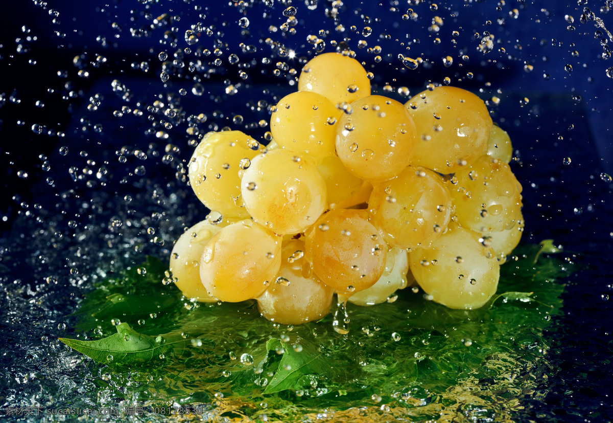 动感 水珠 葡萄 水果 水花 动感水珠 水滴 新鲜 果实 特写 摄影图 高清图片 蔬菜图片 餐饮美食