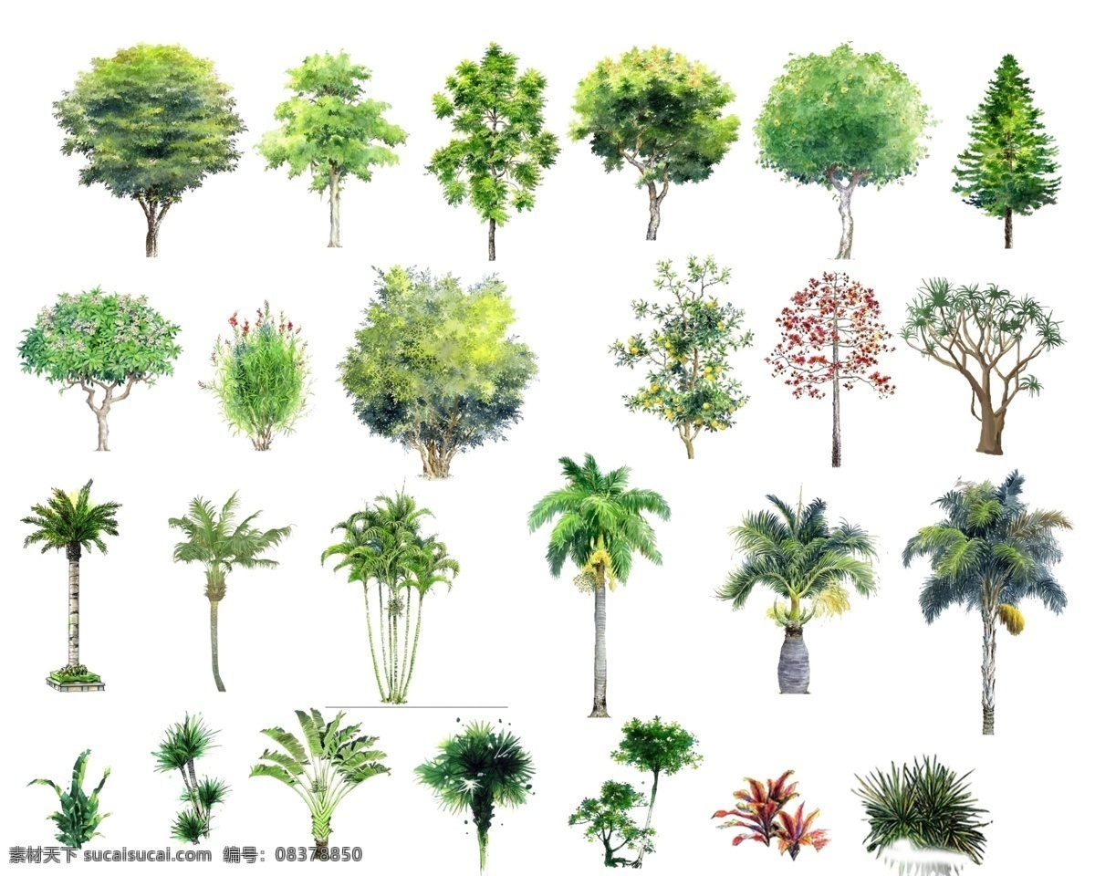 灌木 花树 环境设计 绿植 其他设计 热带植物 榕树 手绘树 手绘树素材 手绘素材 棕榈树 椰子树 海枣树 散尾葵 皇后葵 旅人蕉 剑麻 龙血树 刺葵 酒瓶椰 松树 红花树 源文件 家居装饰素材