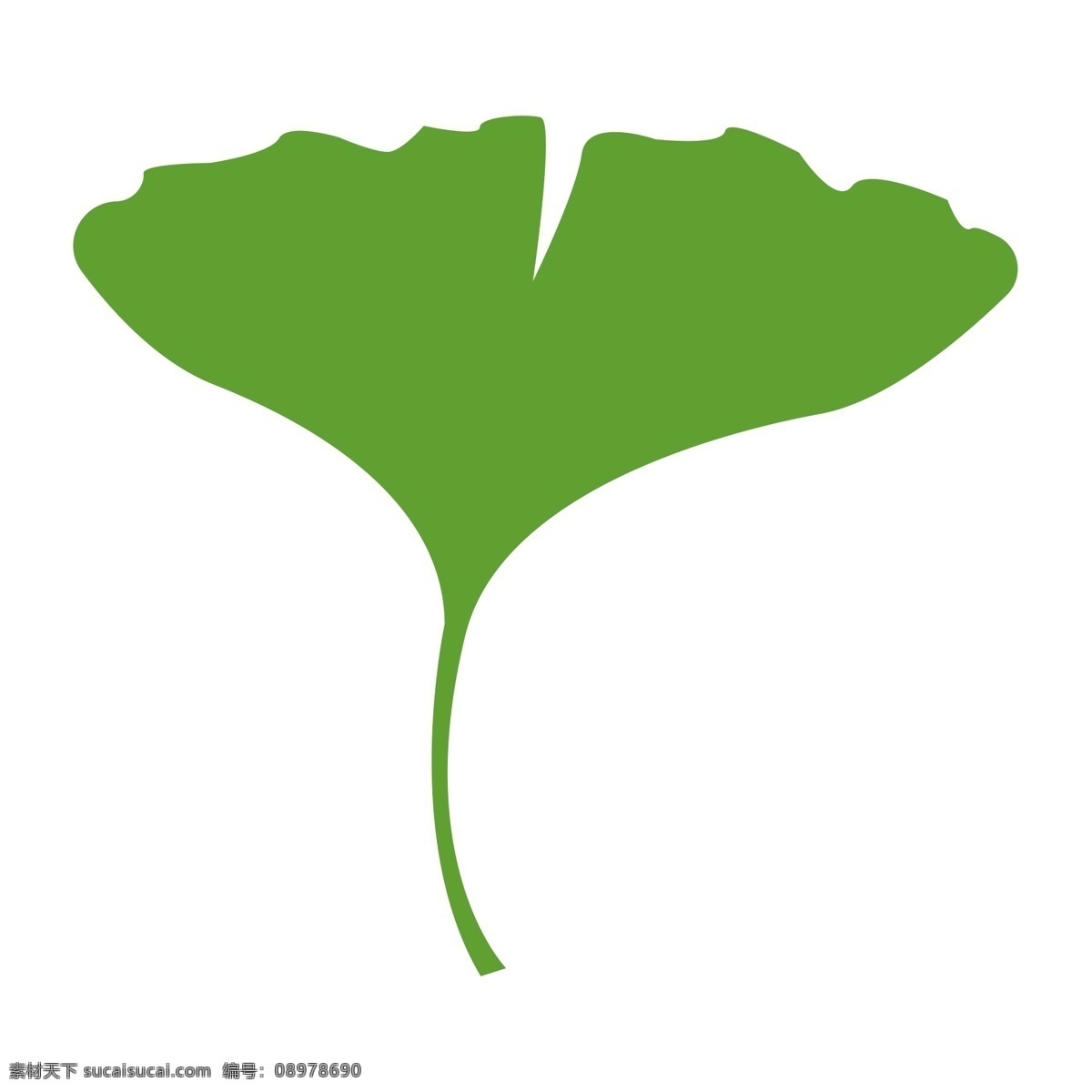 绿色 叶子 免 抠 图 绿色的植物 茂盛 绿色叶子 长长的枝叶 绿色植物 健康的颜色