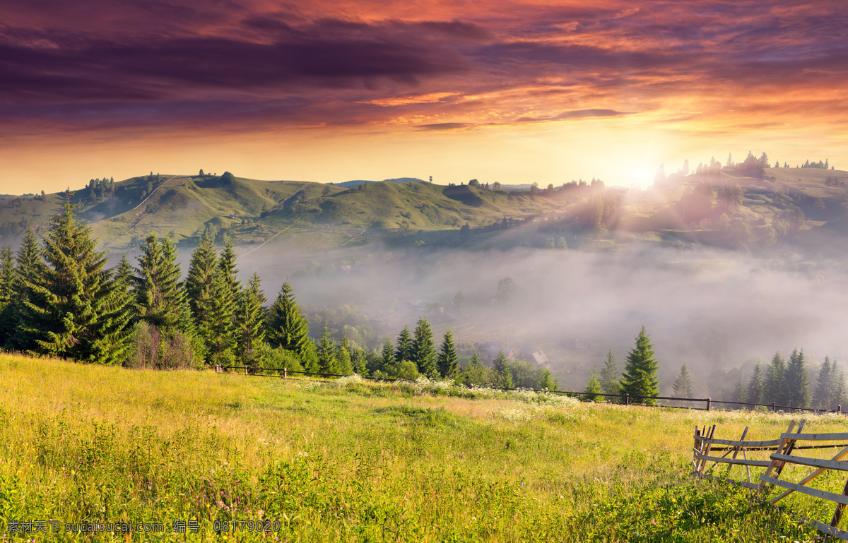 美丽黄昏风景 黄昏风景 夕阳美景 草地风景 美丽风景 风景摄影 自然风景 自然景观 黄色