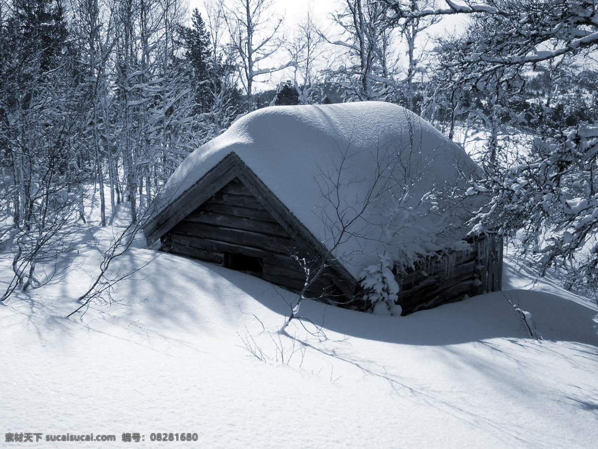 冬季雪景 小屋 冬季 雪景 冬天 雪树 树木 树枝 冬季风光 冬季美景 自然风景 寒冬 自然景观