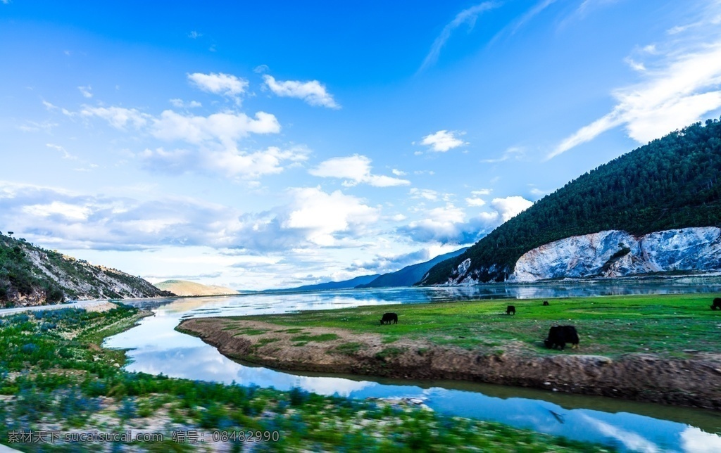 草原图片 风景 旅游 自然 美景 草原 动物 自然景观 自然风景