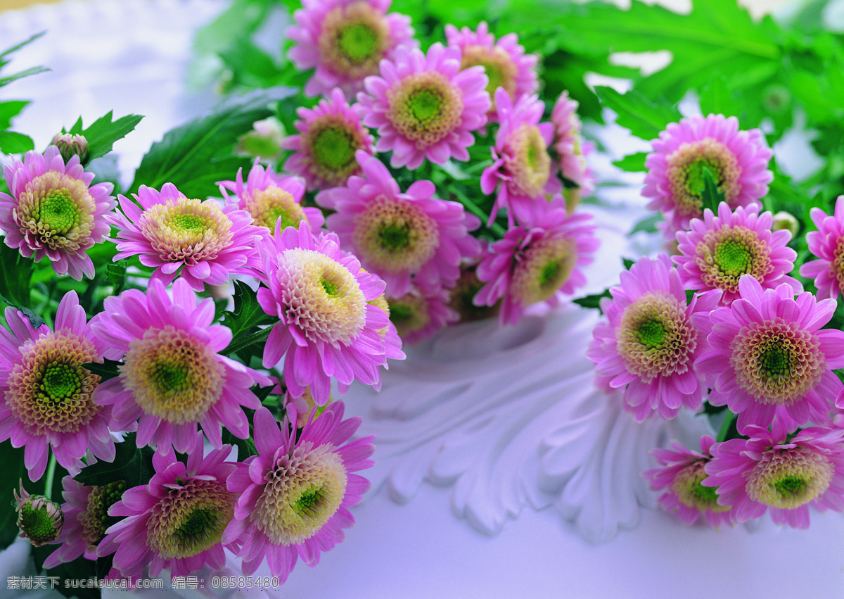 花艺 摆设 花 花卉 鲜花 花艺摆设