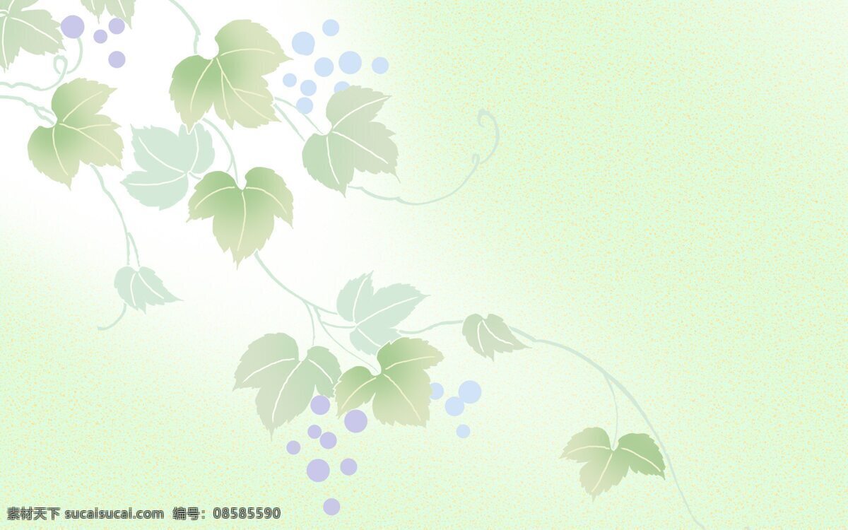 葡萄 叶子 背景 绿色 背景图片