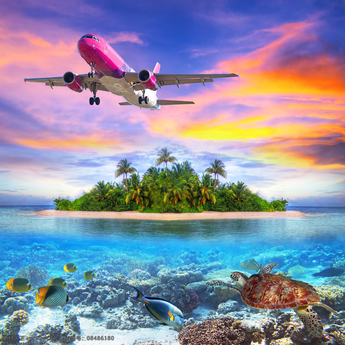 飞机 下 海洋 天空 珊瑚 椰子树 旅行 大海图片 风景图片