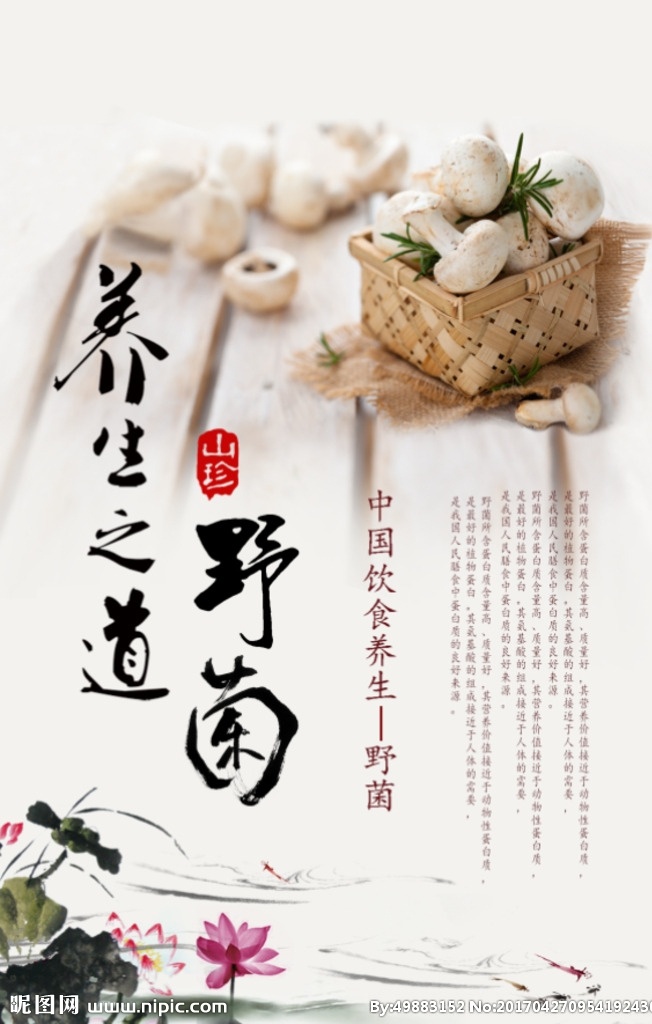 蘑菇美食 蘑菇海报 蘑菇 蘑菇香菇 蘑菇菜品 干蘑菇 食用蘑菇 蘑菇真菌 蘑菇饮食 野生蘑菇 绿色蘑菇 香菇美食 香菇特产 蘑菇特产 蘑菇包装 蘑菇菜 蘑菇食材 食用菌 松菌 平菇 鸡腿菇 黄丝菌 大白菇 菜市场海报 菜市场挂图 农贸市场 卖菜 蔬菜超市 蔬菜 绿色蔬菜 蘑菇养殖