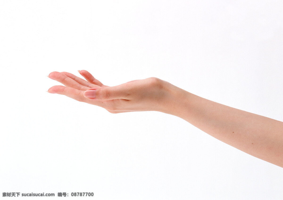 手势 手型 人手 手部特写 手势喻意 人物 人物摄影 人物图库