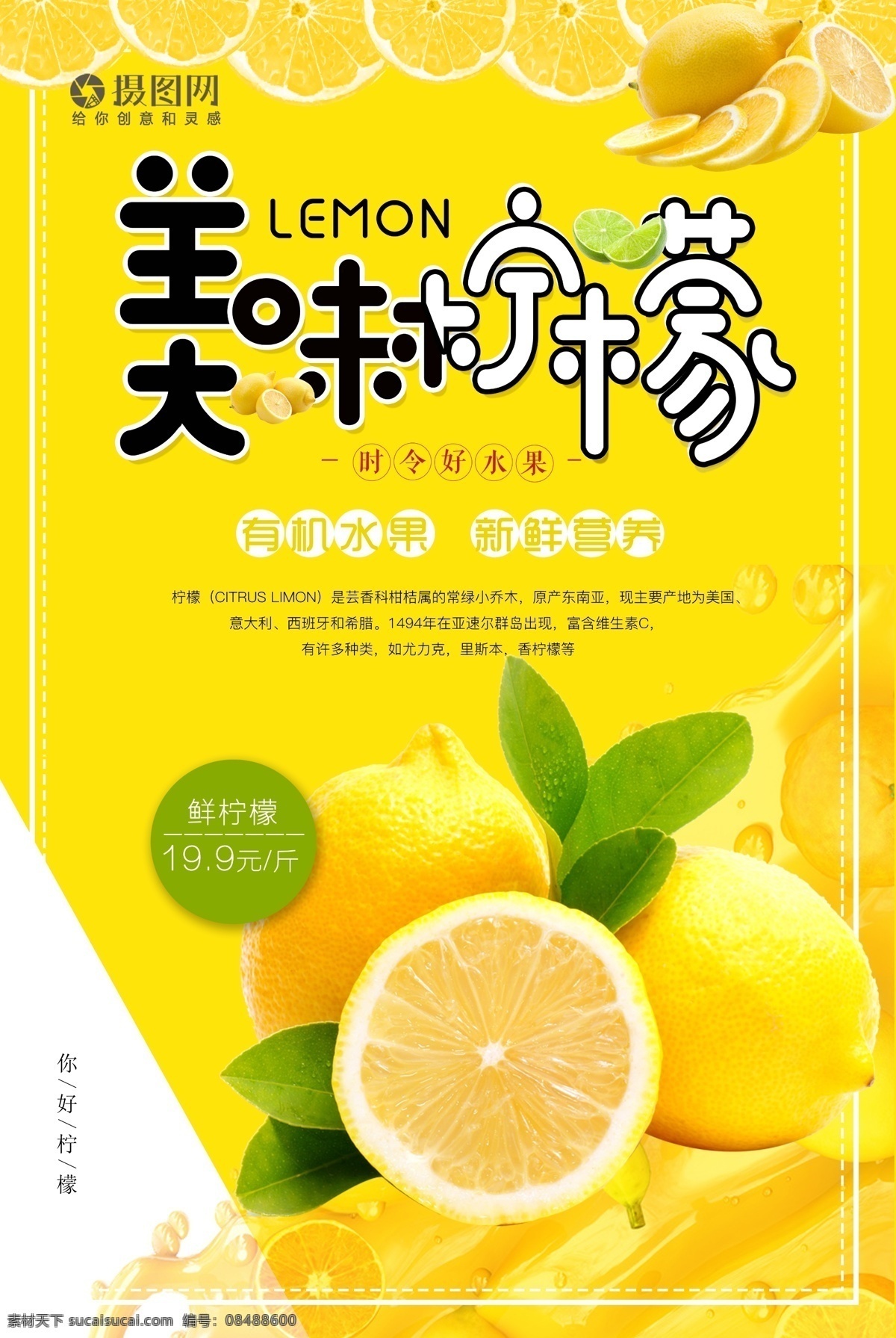 美味 柠檬 水果 促销 海报 美味柠檬 多汁 新鲜 黄色 水果海报 水果促销 新鲜柠檬