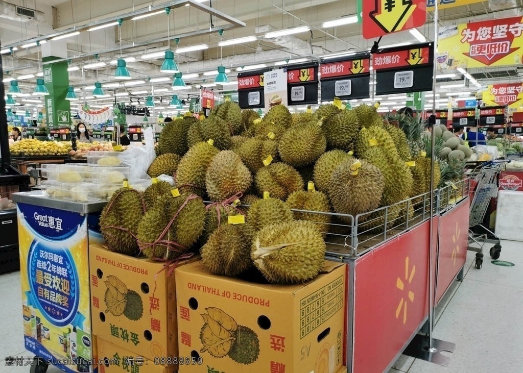 超市里的榴莲 超市 超市货架 超市内景 进口超市 高端超市 水果 果品 榴莲 水果店 生物世界