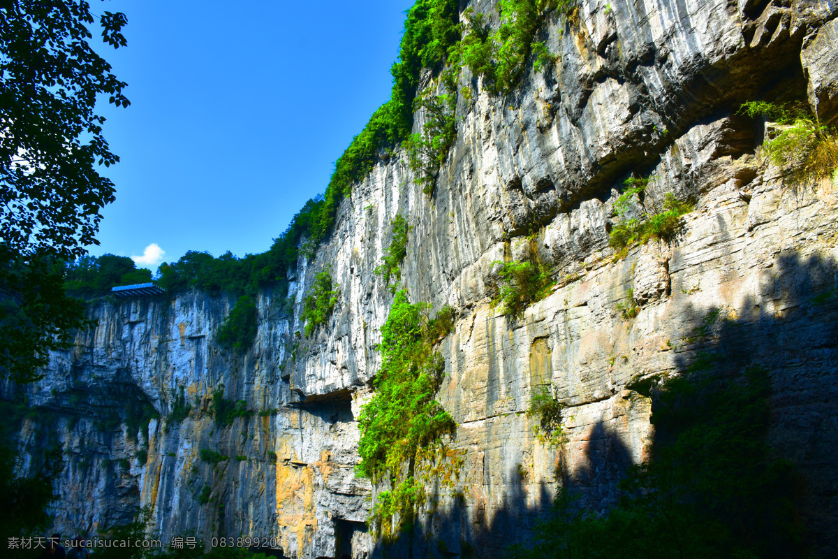 天坑 重庆 武隆 地缝 旅游 蓝天 山崖 峭壁 植物 自然风景 自然景观