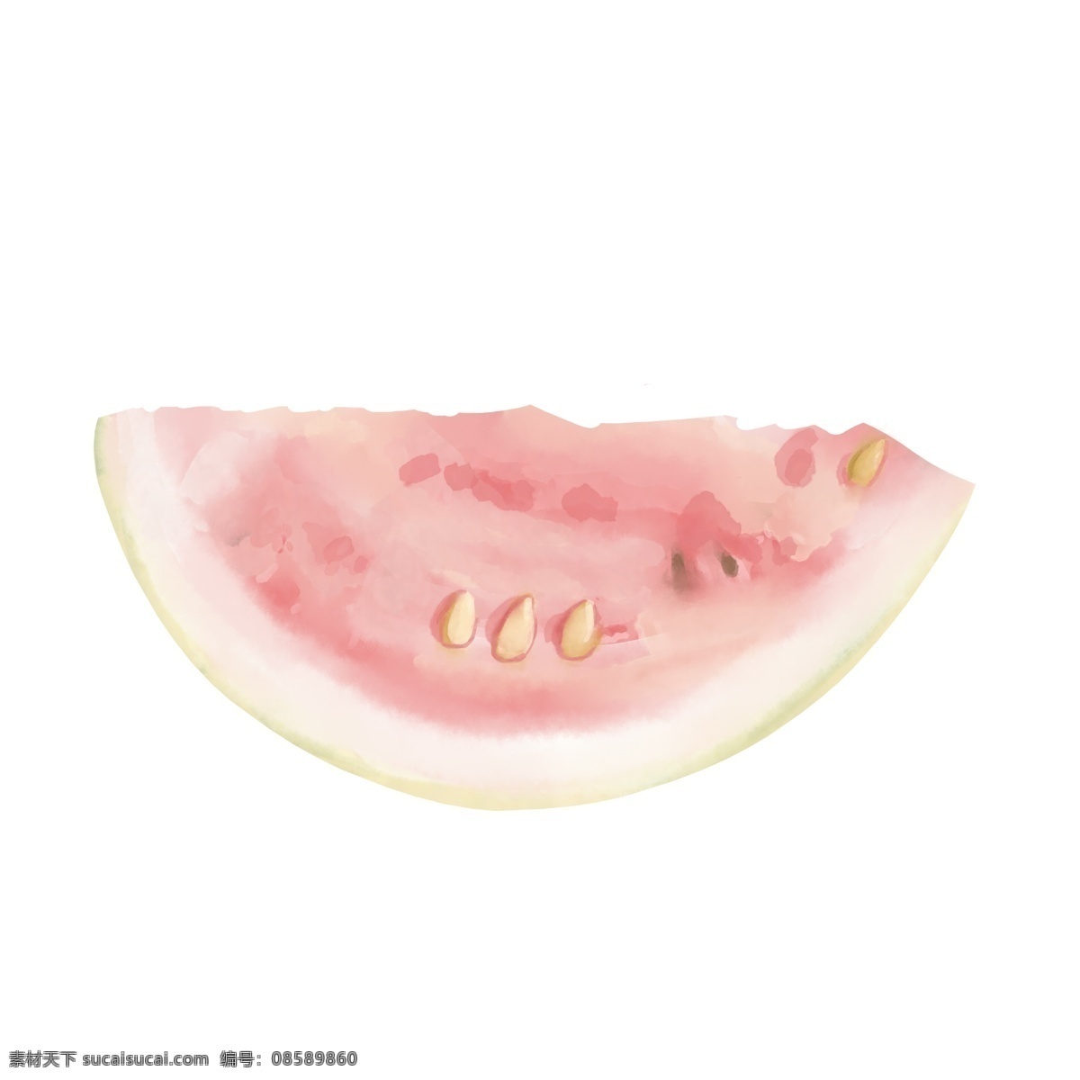 白色 果仁 西瓜 手绘 粉白色 未成熟的 生的 插画 写实 仿真 免抠 水果 夏天 夏季 食物 可口的