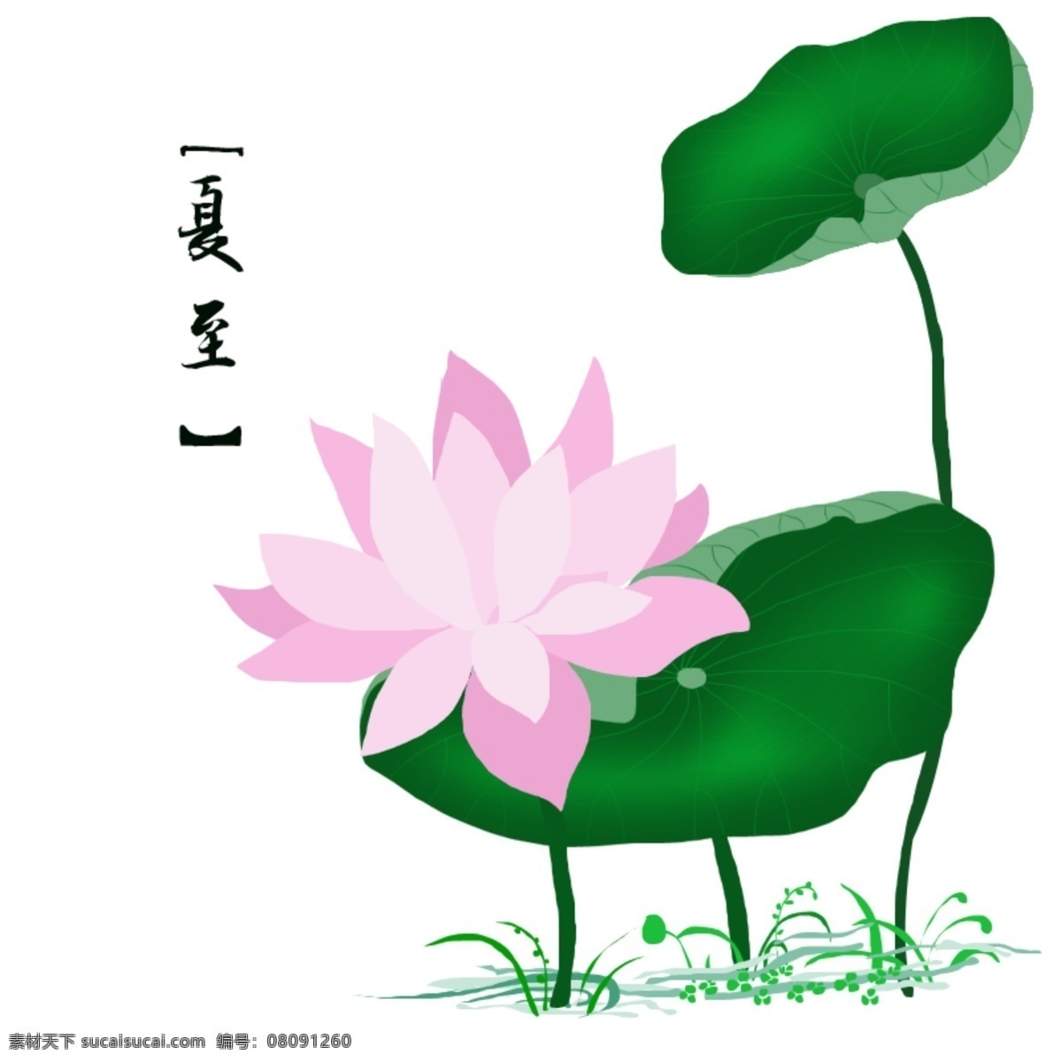 夏至 荷花 矢量 手绘 装饰 夏至节 矢量荷花 手绘荷花 夏荷 清新夏日 荷花装饰 粉色荷花 粉色 边框