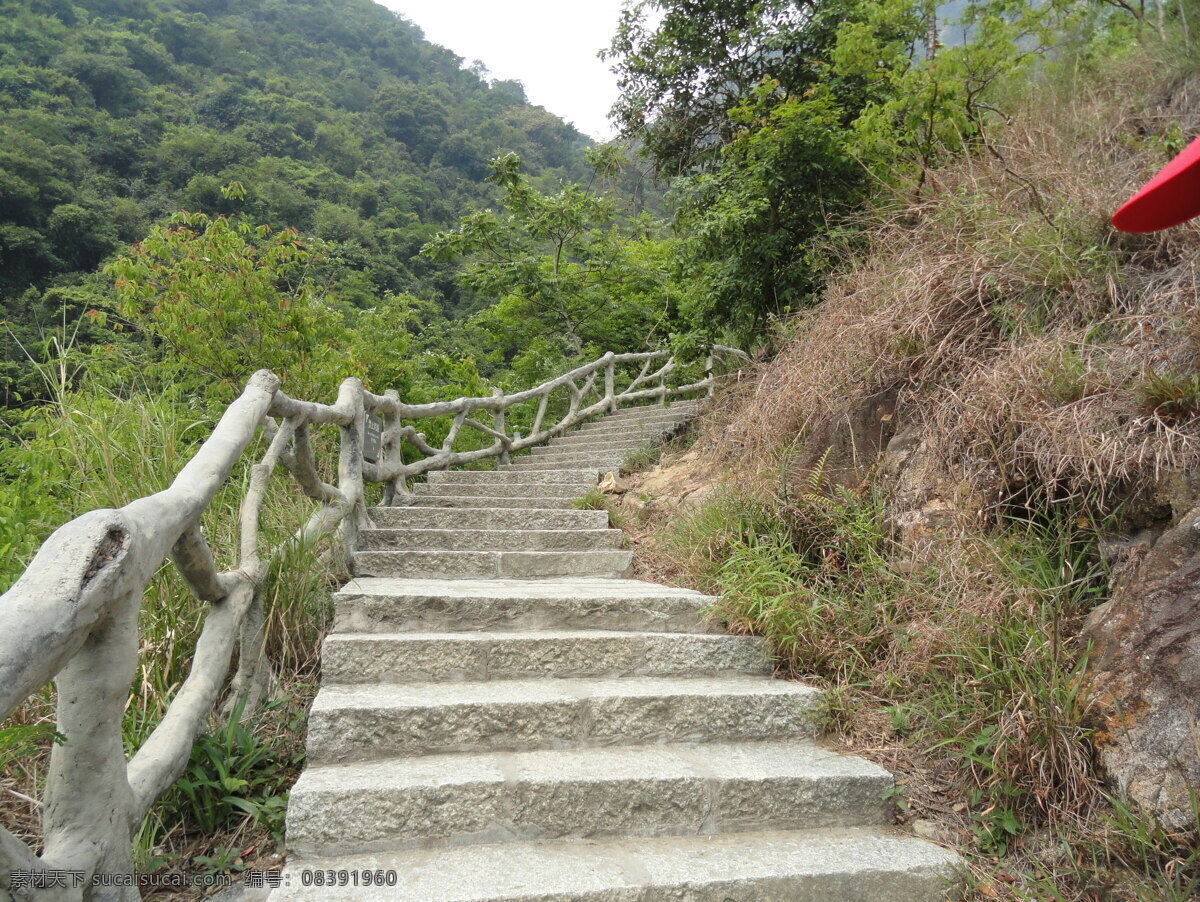 自然风景 黄绿色 旅游摄影 曲线 树 台阶 向上 岩石 乔木 psd源文件