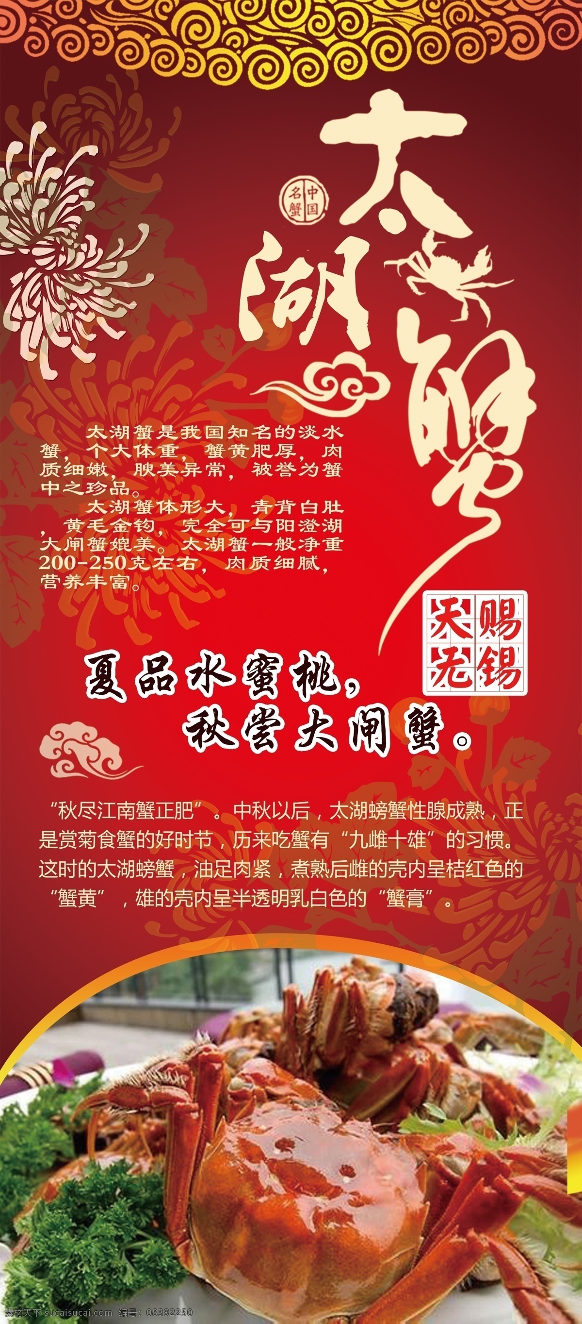 大闸蟹海报 大闸蟹 大闸蟹展板 大闸蟹展架 大闸蟹画册 螃蟹 阳澄湖大闸蟹 大闸蟹广告 大闸蟹包装盒 大闸蟹特产 大闸蟹土特产 大闸蟹海鲜 大闸蟹宣传单 大闸蟹图片 大闸蟹促销 大闸蟹淘宝 大闸蟹上市 大闸蟹品牌 大闸蟹礼盒 大闸蟹名片 大闸蟹团购 饭店 闸蟹饮食 美食