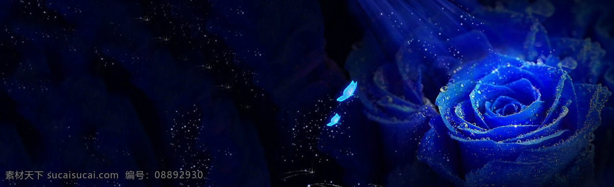 唯美 蓝色 花朵 背景 banner 底 黑 蓝色花朵 清新