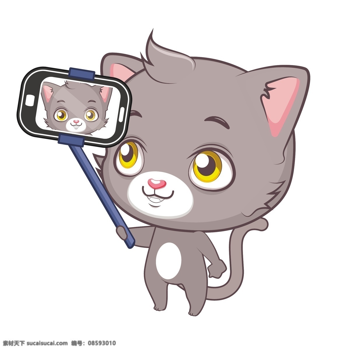 猫做一张背景 背景 电话 动物 猫 移动 壁纸 颜色 色彩的背景下 手机自拍 五颜六色 背景色 色 色做