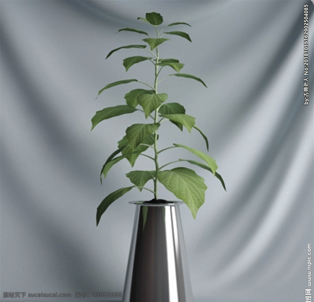 植物 摆件 3d 模型 3d模型 室内设计 室内模型 室内3d模型 渲染模型 3dmax 植物摆件 装饰摆件 盆栽 盆栽模型 绿植 盆景 3d设计 max