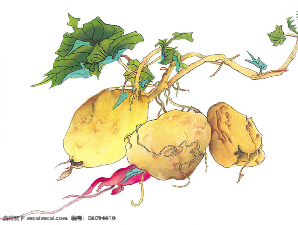 水墨画 篮子 蔬菜 鱼 中国风 中华艺术绘画 文化艺术