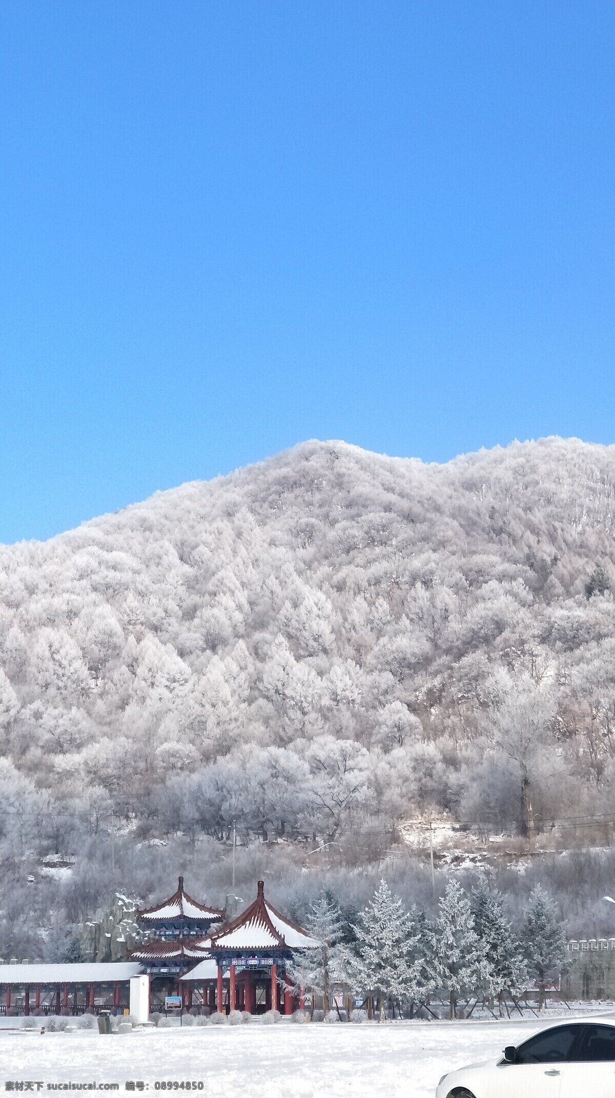 吉林雪景 雾凇 吉林雾凇 冬天 雪 树挂 自然景观 自然风景