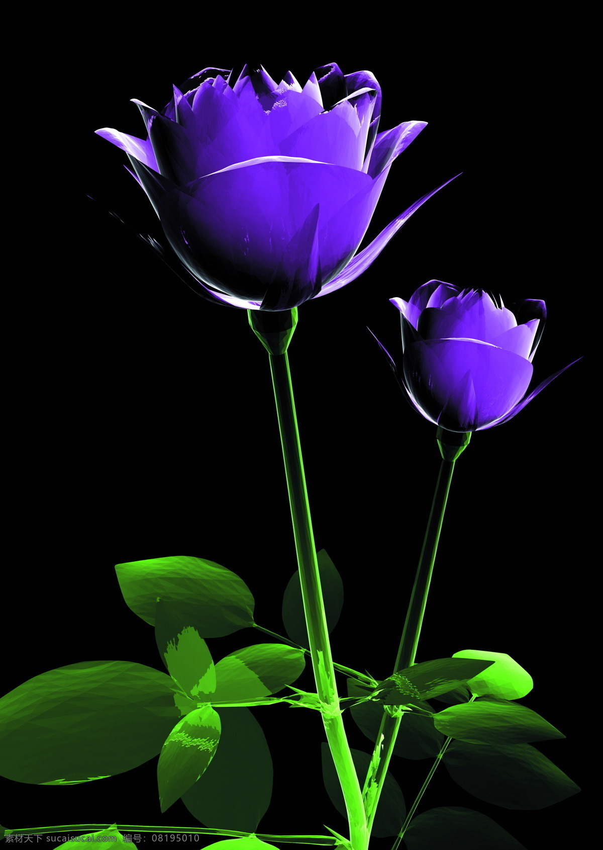 花免费下载 x光 x光片 x光透视 花 x光世界 现代科技
