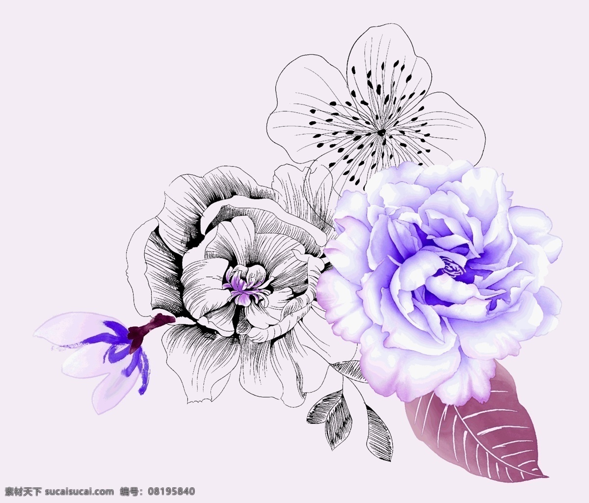 手绘花卉 手绘 印花 绣花 墙纸 花卉 图案 纹样 底纹 玫瑰 一般手绘 底纹边框 花边花纹