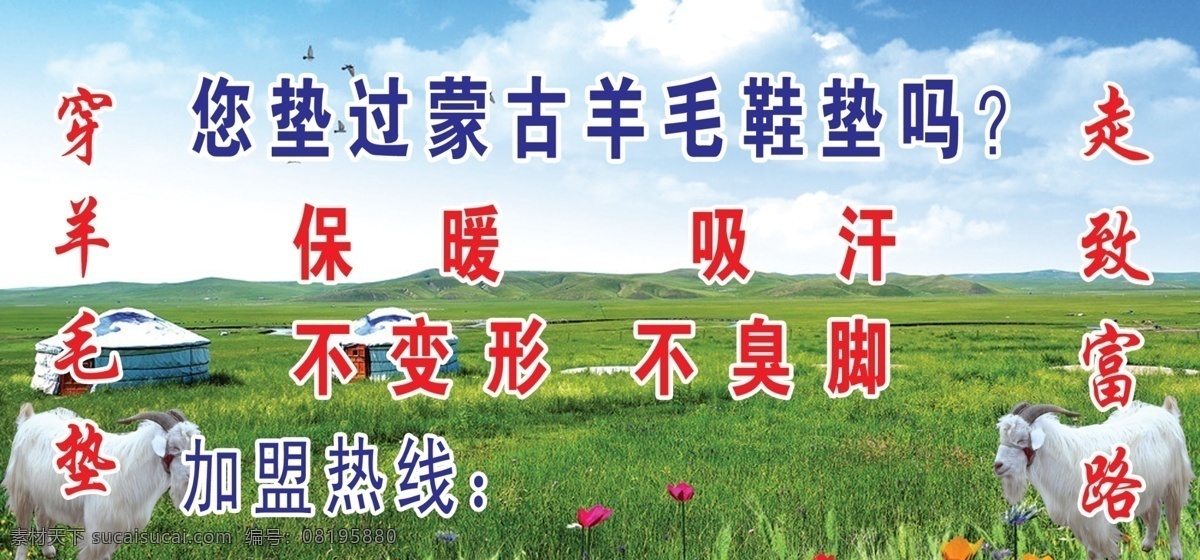 蒙古羊毛鞋垫 羊毛 直销 鞋垫 羊毛鞋垫 蒙古羊毛 蓝天 白云 绿地 草地 psd素材 展板模板