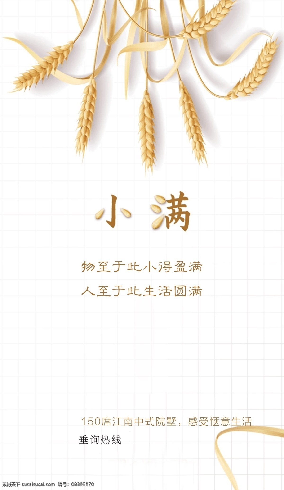 小满 微信 麦子 节气 刷屏稿 q其他
