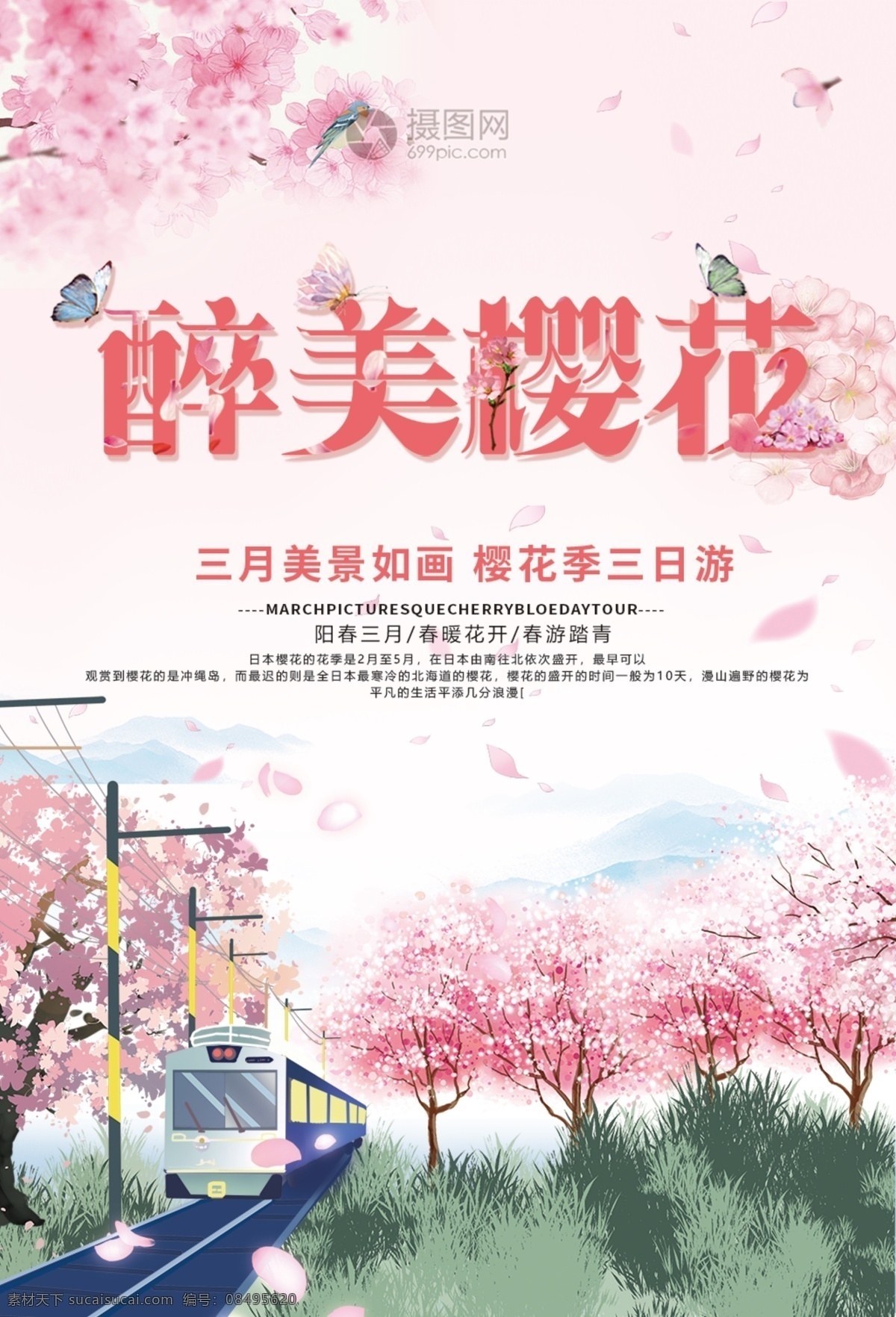 醉 美 樱花 季 海报 樱花节 樱花节海报 赏花 赏樱花 粉色 春天 春季 旅游 传统 文化 3月 花展 节日 春暖花开 旅游海报