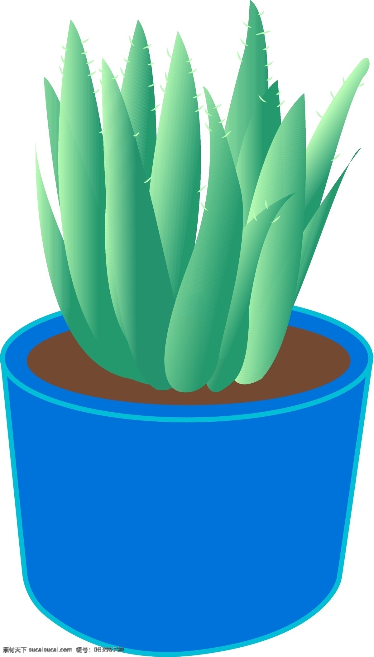 矢量 插画 盆栽 植物 仙人掌 盆栽植物 植物插画 仙人掌插画 盆栽仙人掌