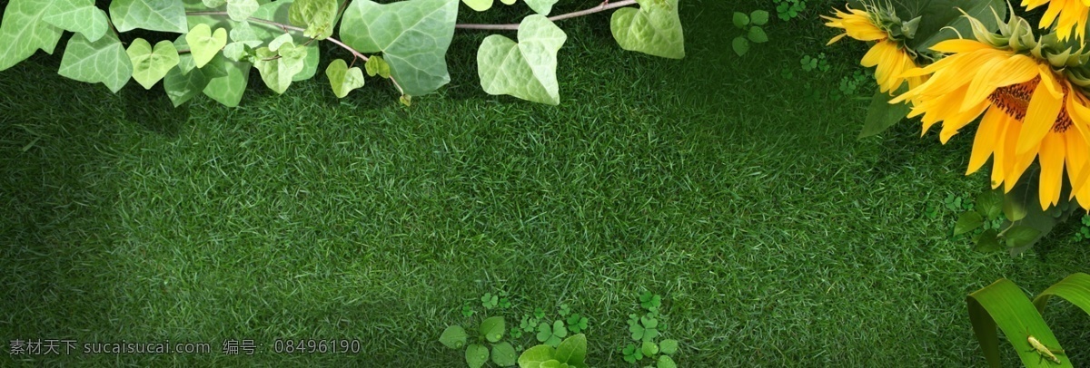 绿色 草地 花卉 背景