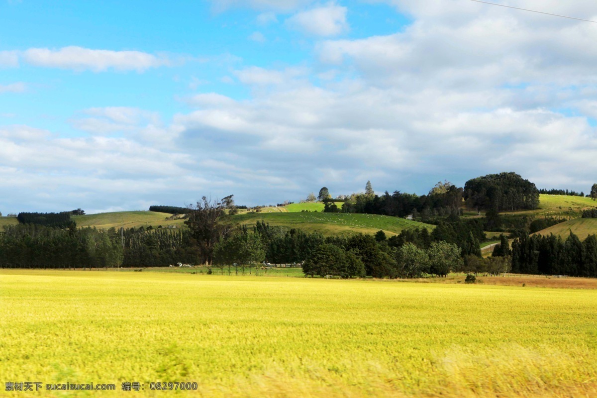 南岛风景 新西兰 南岛 牧场 山脉 蓝天 白云 风景 云雾 树木 新西兰风光 国外旅游 旅游摄影