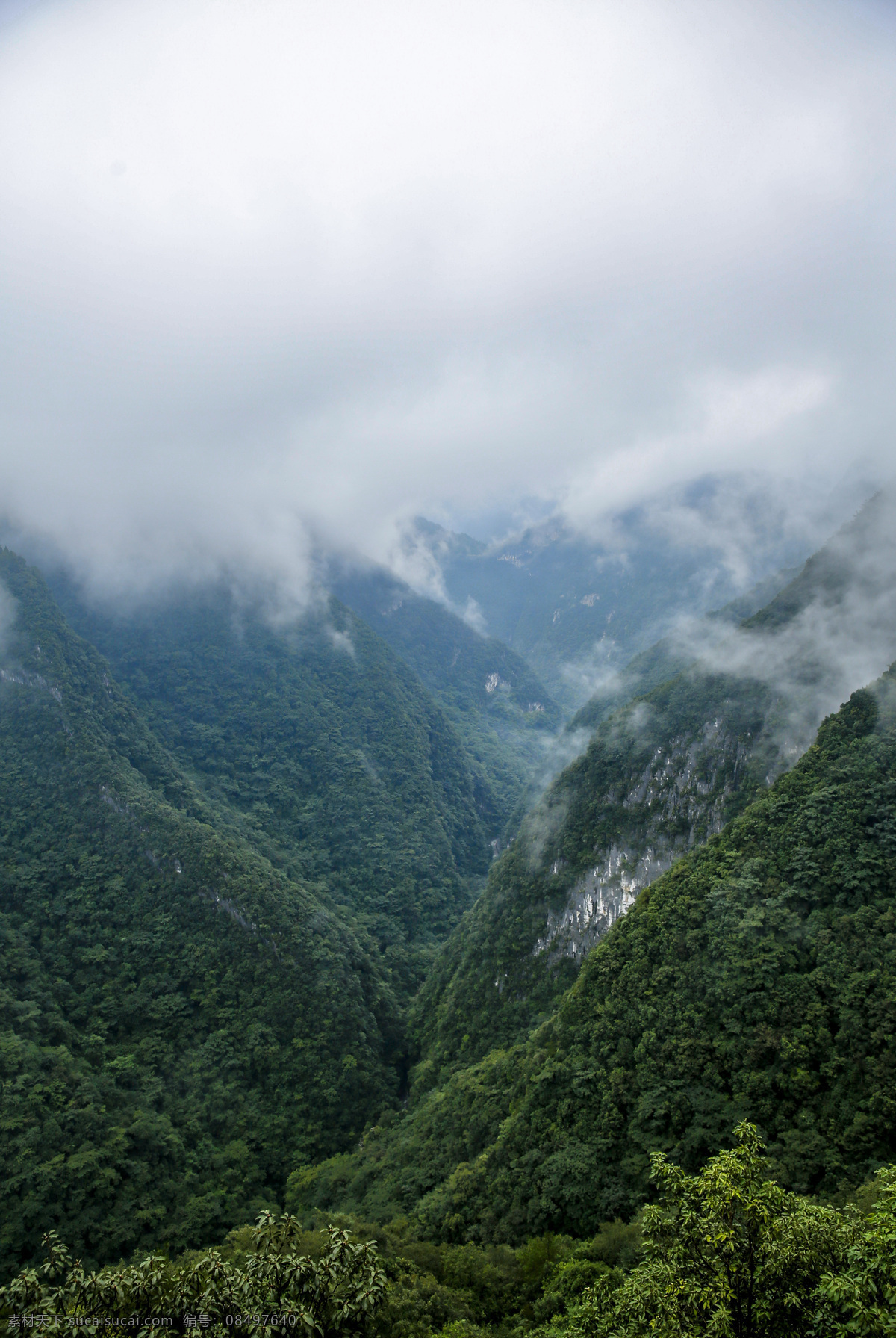 山 大雾 雾气 大山 风景 旅游摄影 国内旅游