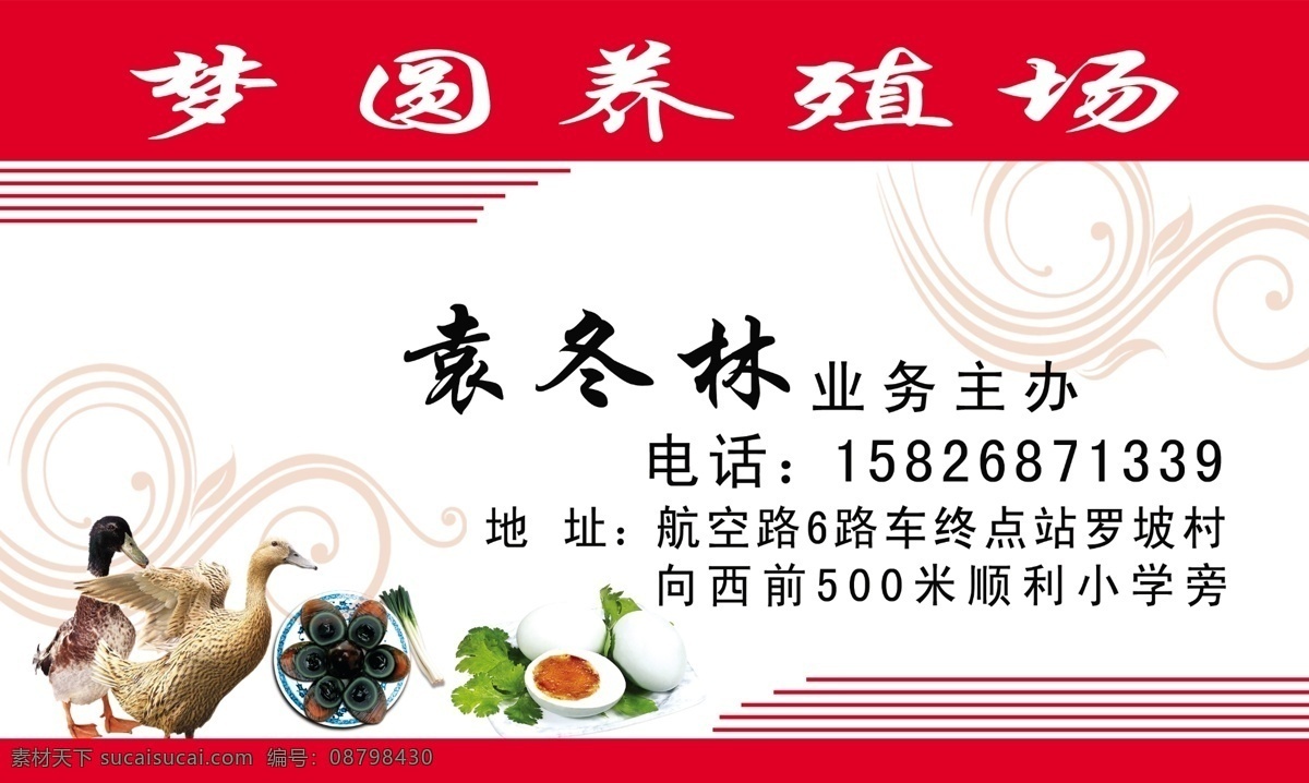 家禽名片 养殖 鸭蛋 皮蛋 咸蛋 家禽 名片卡片 广告设计模板 源文件